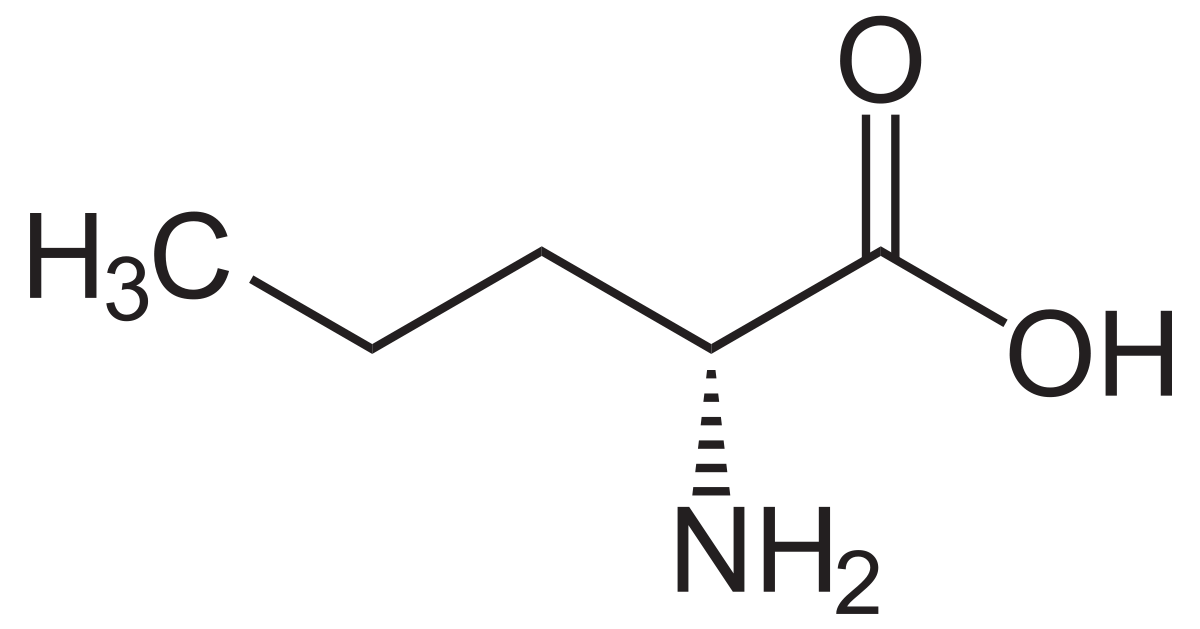 L-2-Aminovaleric acid
